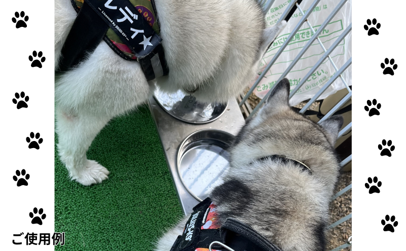 ごはん台 大きなわんちゃんのごはん台（大） ペット ペット用品 犬 テーブル 食事 給水 エサ台 オールステンレス 日進市 愛知県