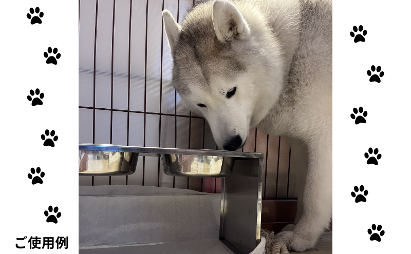 ごはん台 大きなわんちゃんのごはん台（中） ペット ペット用品 犬 テーブル 食事 給水 エサ台 オールステンレス 日進市 愛知県