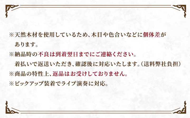 アフロディーテの竪琴　リーアノンモデル 楽器 愛知県 日進市