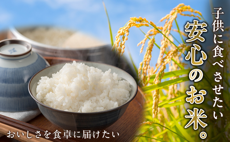 先行予約 令和8年度産 ミルキークイーン さかたのお米 日進市産 10kg お米 白米 ライス 精米 ご飯 おにぎり お弁当 和食 もっちり 粘り 強い 甘み 旨み