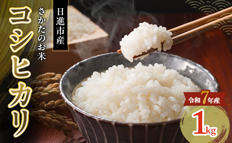 令和7年度産 コシヒカリ さかたのお米 日進市産 1kg お米 白米 ライス 精米 ご飯 おにぎり お弁当 和食 もっちり 粘り 強い 甘み 旨み