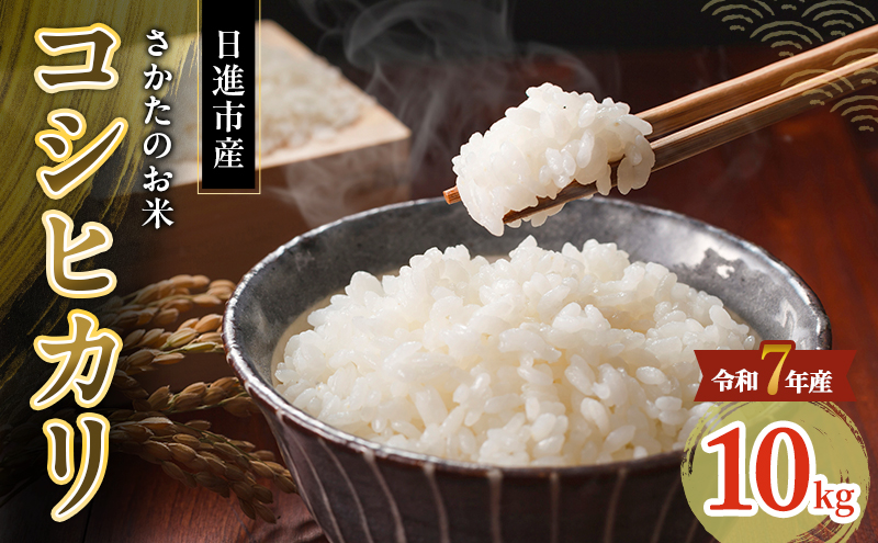 令和7年度産 コシヒカリ さかたのお米 日進市産 10kg お米 白米 ライス 精米 ご飯 おにぎり お弁当 和食 もっちり 粘り 強い 甘み 旨み