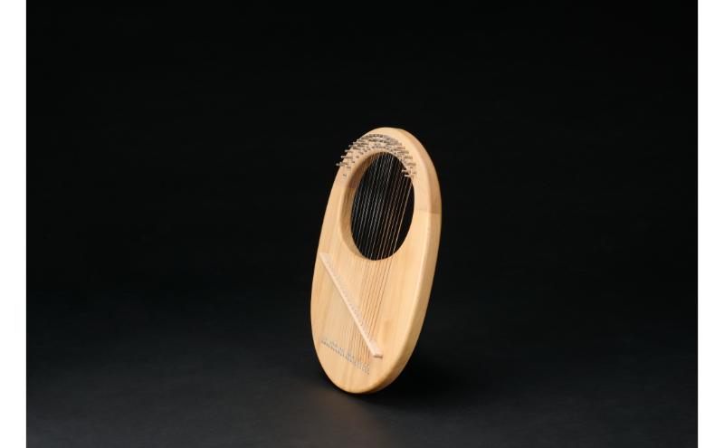 アフロディーテの竪琴　エッグモデル 楽器 愛知県 日進市