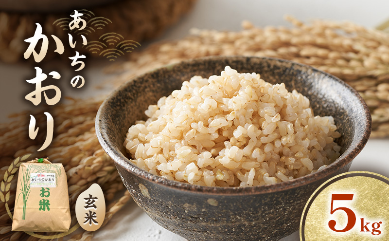 愛知県産 あいちのかおり 玄米 5kg お米 玄米 ライス ご飯 おにぎり お弁当 和食