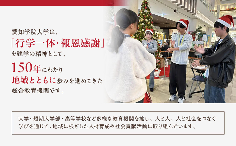 【返礼品なし】大学等連携事業補助制度 (愛知学院大学) 100,000円 大学 教育 教育支援 愛知県 日進市