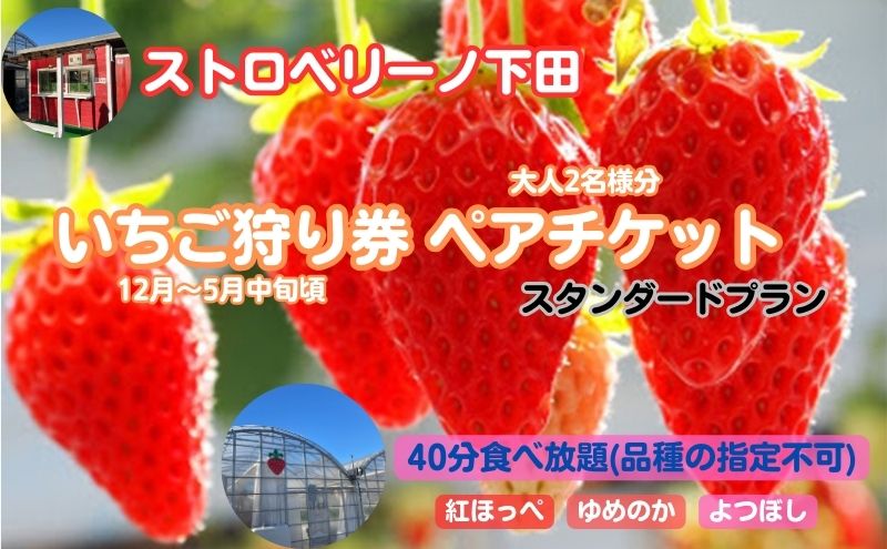 ストロベリーノ下田いちご狩り券2名様（スタンダードプラン） 体験チケット チケット