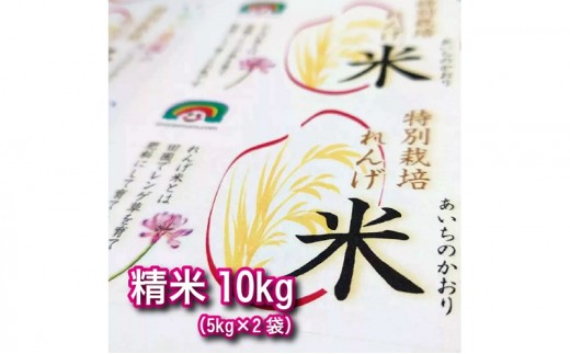 特別栽培れんげ米 日進市産 あいちのかおり 10kg ( 5kg × 2袋 ) 米 白米 精米 特別栽培米 コメ お米 おこめ 愛知 愛知県 日進市