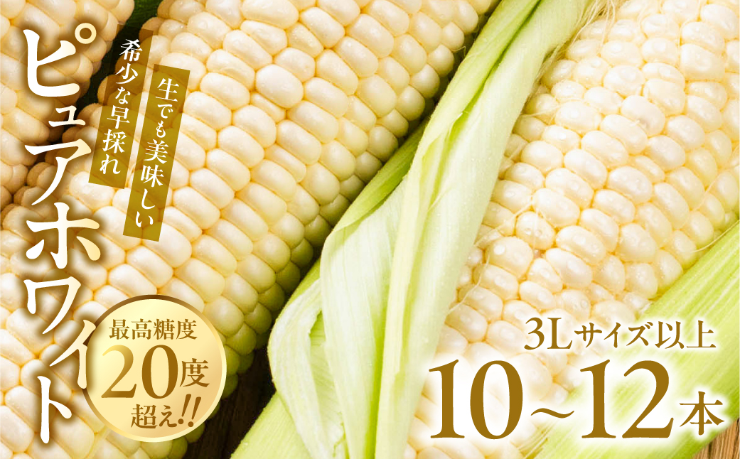【先行予約】極甘 早採れ プレミアムフルーツコーン 10 〜 12本 3L 4L 温室栽培 高糖度 生 ピュアホワイト まるで フルーツ プレミアム コーン とうもろこし トウモロコシ 甘い 春 夏 初夏 先行予約 5月 6月 ハウス 栽培