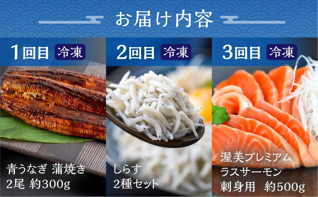 枥çŸåå³¶ã®æµã¿ æµ·ç£ç© å®æäŸ¿ 3å æµ·é®® ( ããªã / ããã / ãµãŒã¢ã³ ) é°» åºèº« 䞌 äººæ° ãåœå° é°» è²çŒ è²çŒã é åžäŒ