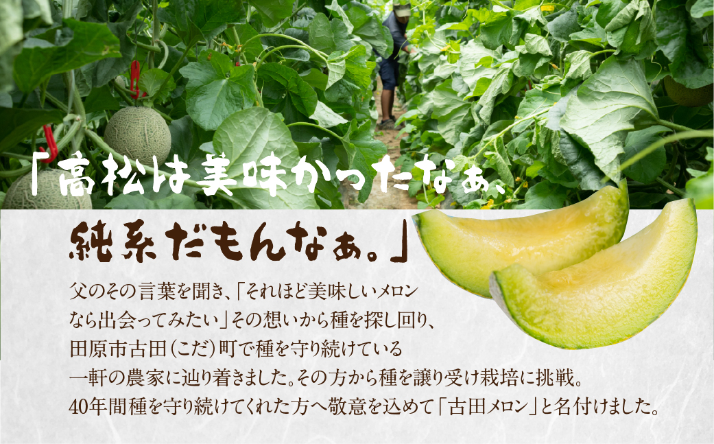 å
è¡äºçŽ æž¥çŸåå³¶ã®æµã¿ ã¡ãã³ 4å( ã€ãšããŒãã³ã° / ã¿ã«ãã¬ãã / å€ç°ã¡ãã³ / ãã¹ã¯ã¡ãã³) å®æäŸ¿ æç© é åžäŒ