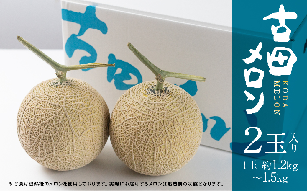 å
è¡äºçŽ æž¥çŸåå³¶ç³äºèŸ²åã»çŽç³»å€ç°ã¡ãã³2ç ã2026幎7æçºéã çŽç³» 箱詰ã ã¡ãã³ ãã«ãŒã æç© ãåãå¯ã 枥çŸåå³¶ ç£å°çŽé å¹» åžå°å ç°ååž éæç¡æ 20,000å