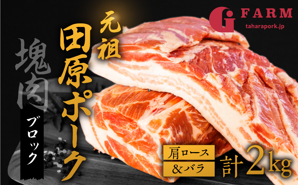 国産 豚肉 ブロック 肩ロース・バラ 食べ比べ 1kg×2 計2kg 田原ポーク