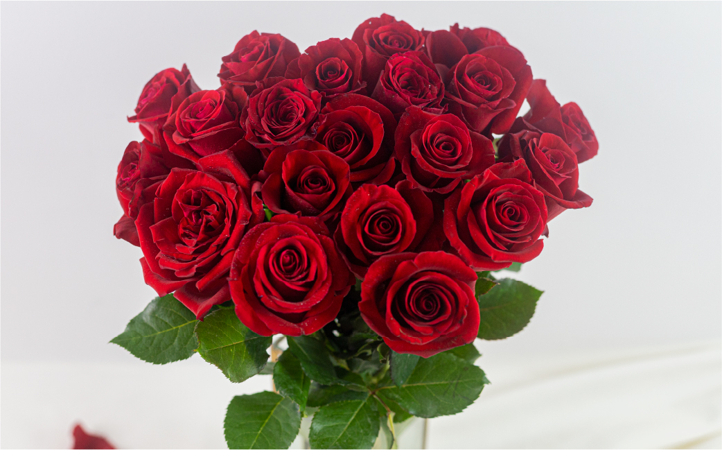 バラ 花束 大輪 赤 30本 (40cm) ブーケ 薔薇 ローズ  生花 観賞用 プレゼント 花 ギフト 誕生日 植物 フラワー 土壌栽培 産地直送 田原市 人気 切り花 切花 18000円