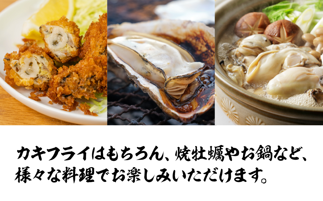【先行予約】訳あり 殻付き 生牡蠣 5kg 加熱用 軍手・牡蠣ナイフ付 牡蠣 カキ かき 生 殻付牡蠣 フライ 鍋 バーベキュー BBQ 海鮮 魚介 魚貝 貝 魚介類 新鮮 渥美半島 田原市 愛知県 国産 海産物 オイスター 海の ミルク 軍手 牡蠣 ナイフ 付 冬 〜 春