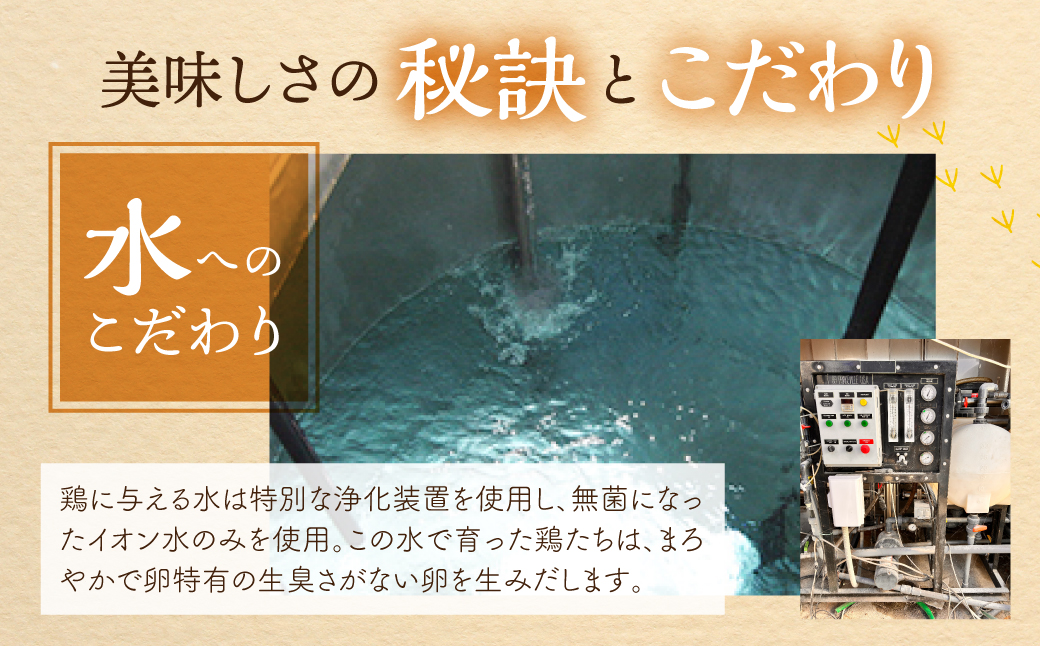 【3回お届け定期便】コク旨 極上卵 60 個 割れ保証付き 定期便 （ たまご 卵 毎月 3回 3ヶ月 3ヵ月 3か月 ランキング ）