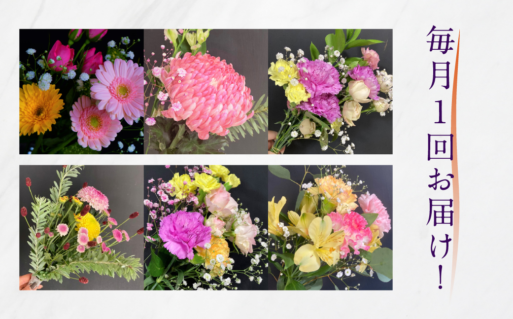 【定期便6回】お花屋さんのタハナＢＯＸ 定期便6回 定期便も選べる 定期便 3回 6回 12回 フラワーアレンジメント 花 お花 花束 ブーケ 季節 ギフト お祝い 誕生日 記念日 ギフト プレゼント インテリア お洒落 マム カラーマム 愛知県 田原市 10000円 1万円 キク、バラ、ガーベラ、アルストロメリア、カスミソウ、カーネーション