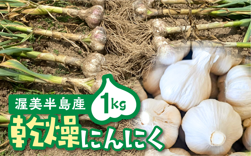 ≪先行予約≫ 訳あり 渥美半島産　ニンニク （乾燥）１ｋｇ 簡易包装 にんにく 国産にんにく 平戸にんにく 愛知県 田原市