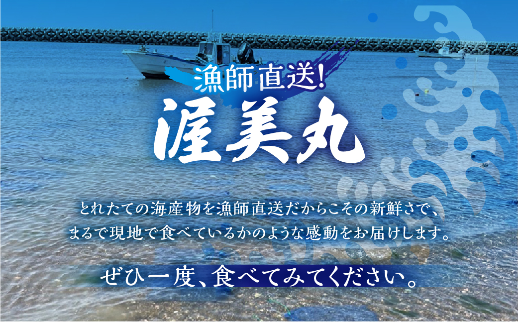 【先行予約】訳あり 殻付き 生牡蠣 5kg 加熱用 軍手・牡蠣ナイフ付 牡蠣 カキ かき 生 殻付牡蠣 フライ 鍋 バーベキュー BBQ 海鮮 魚介 魚貝 貝 魚介類 新鮮 渥美半島 田原市 愛知県 国産 海産物 オイスター 海の ミルク 軍手 牡蠣 ナイフ 付 冬 〜 春