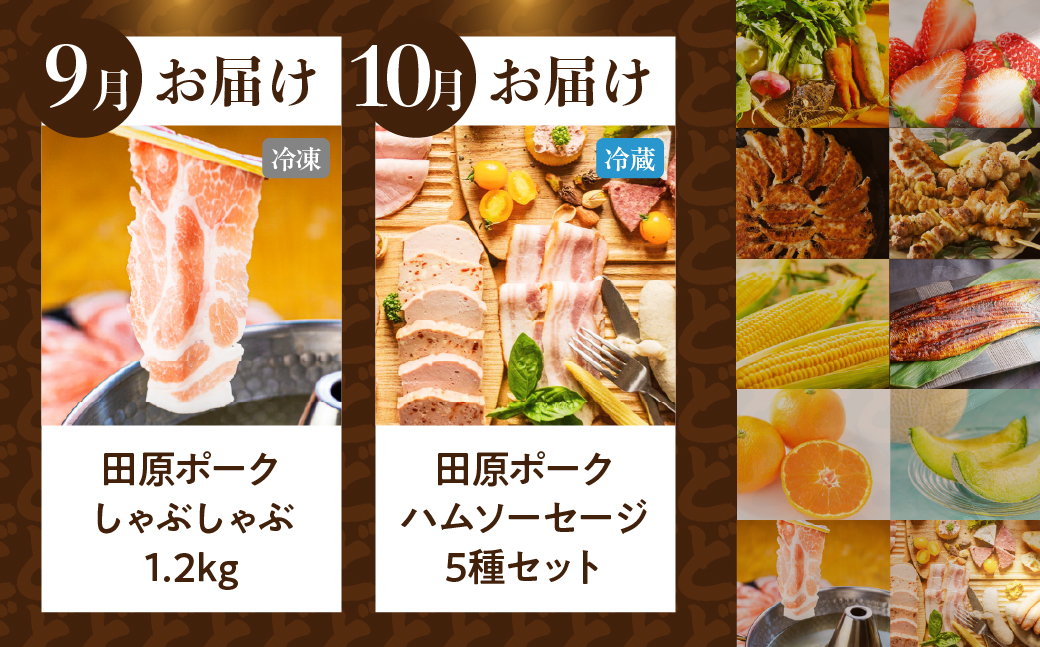 渥美半島の恵み どうまい 定期便 全10回（ 野菜 セット いちご 餃子 焼き鳥 うなぎ とうもろこし みかん メロン 豚肉 ハム ソーセージ ) 青うなぎ 名古屋コーチン マスクメロン ご当地 人気 頒布会