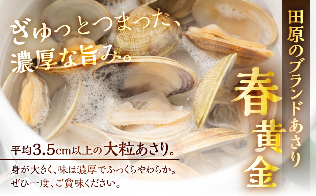 貂・鄒守肇 蝙ゆク九≠縺輔j 譏・鮟驥 1kg 縺ゅ&繧