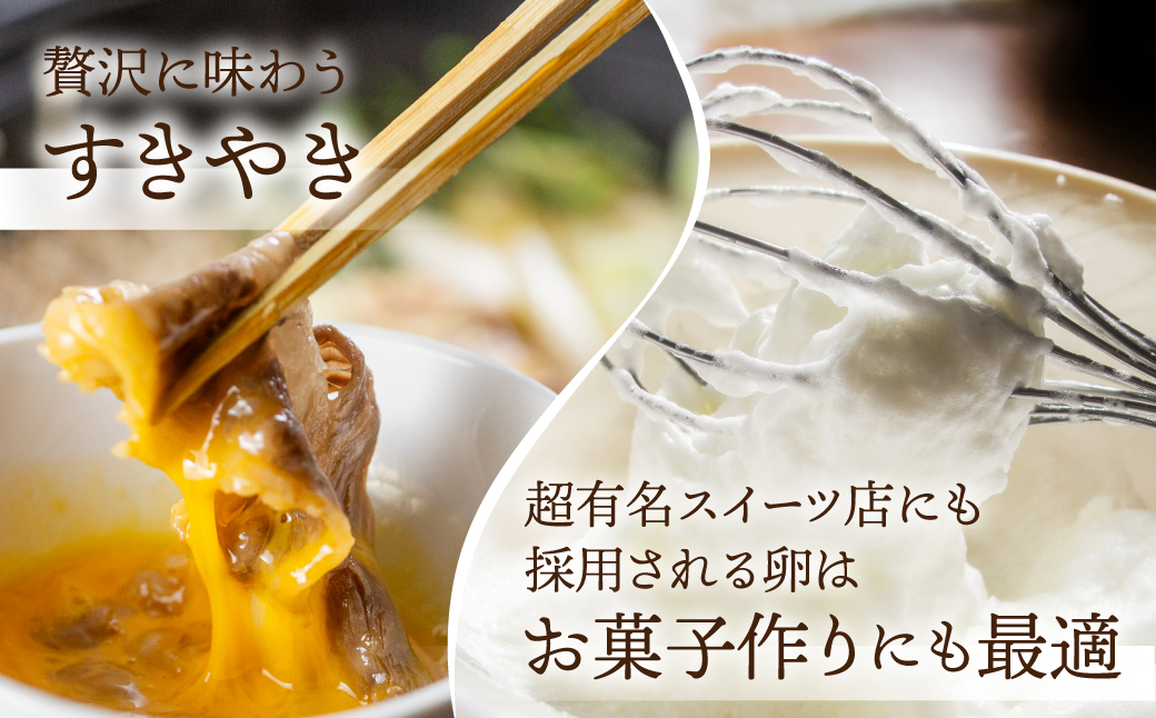 【3回お届け定期便】コク旨 極上卵 60 個 割れ保証付き 定期便 （ たまご 卵 毎月 3回 3ヶ月 3ヵ月 3か月 ランキング ）