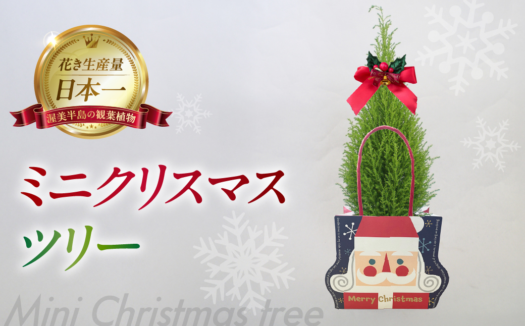 ミニクリスマスツリー 観葉植物 植物 3号鉢 ツリー 人気 おしゃれ かわいい お手入れ 室内 大鉢 中型 インテリア リビング 玄関 寝室 キッチン オフィス プレゼント ギフト 冬 クリスマス フラワーギフト