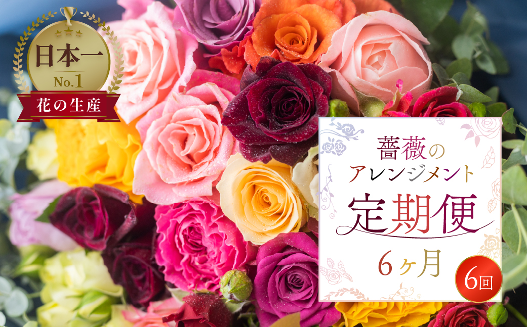 【定期便】薔薇のアレンジメント (20本+ユーカリ) 6ヶ月 6回お届け アレンジブーケ バラ 薔薇 花束
