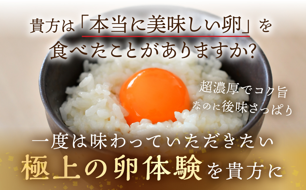 【感動の卵体験】 コク旨 極上卵 30個 割れ保証付き こだわり たまご 卵