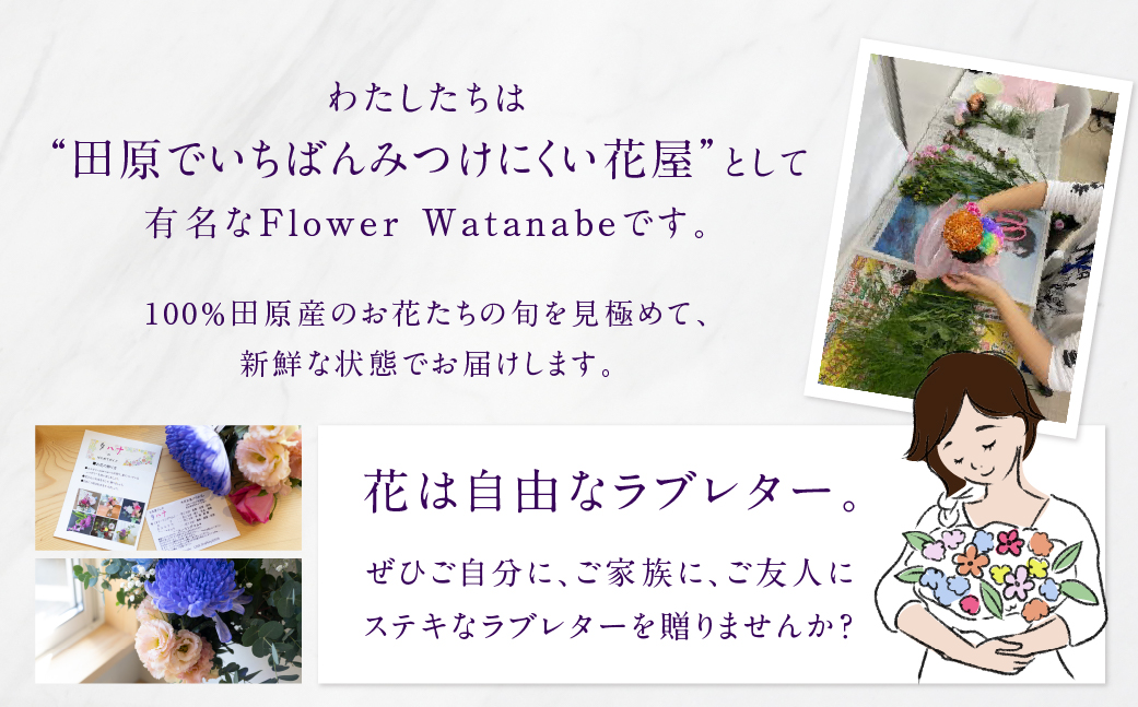 【定期便3回】お花屋さんのタハナＢＯＸ 定期便3回 定期便も選べる 定期便 3回 6回 12回 フラワーアレンジメント 花 お花 花束 ブーケ 季節 ギフト お祝い 誕生日 記念日 ギフト プレゼント インテリア お洒落 マム カラーマム 愛知県 田原市 10000円 1万円 キク、バラ、ガーベラ、アルストロメリア、カスミソウ、カーネーション