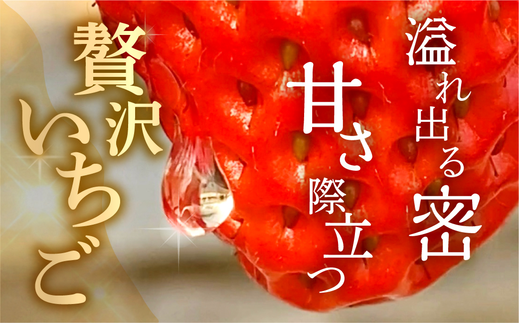 å
è¡äºçŽ èã®è±ãã¡ãã3ç®±(8ç²ã12ç²å
¥) 倧ç²