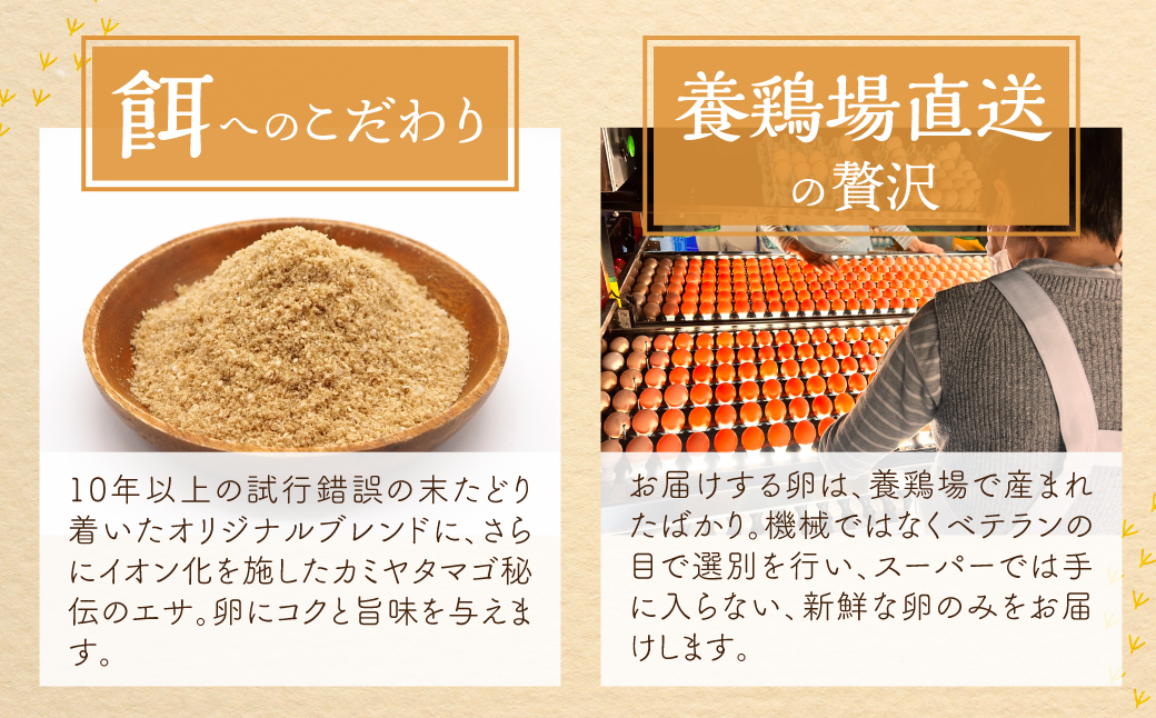 【感動の卵体験】 コク旨 極上卵 30個 割れ保証付き こだわり たまご 卵