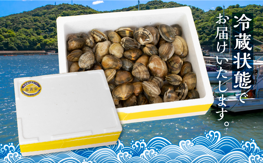 貂・鄒守肇 蝙ゆク九≠縺輔j 譏・鮟驥 1kg 縺ゅ&繧