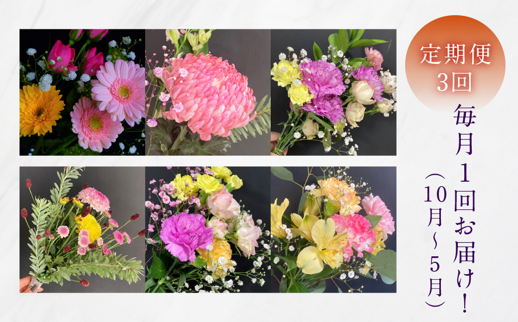 【定期便3回】お花屋さんのタハナＢＯＸ 定期便3回 定期便も選べる 定期便 3回 6回 12回 フラワーアレンジメント 花 お花 花束 ブーケ 季節 ギフト お祝い 誕生日 記念日 ギフト プレゼント インテリア お洒落 マム カラーマム 愛知県 田原市 10000円 1万円 キク、バラ、ガーベラ、アルストロメリア、カスミソウ、カーネーション