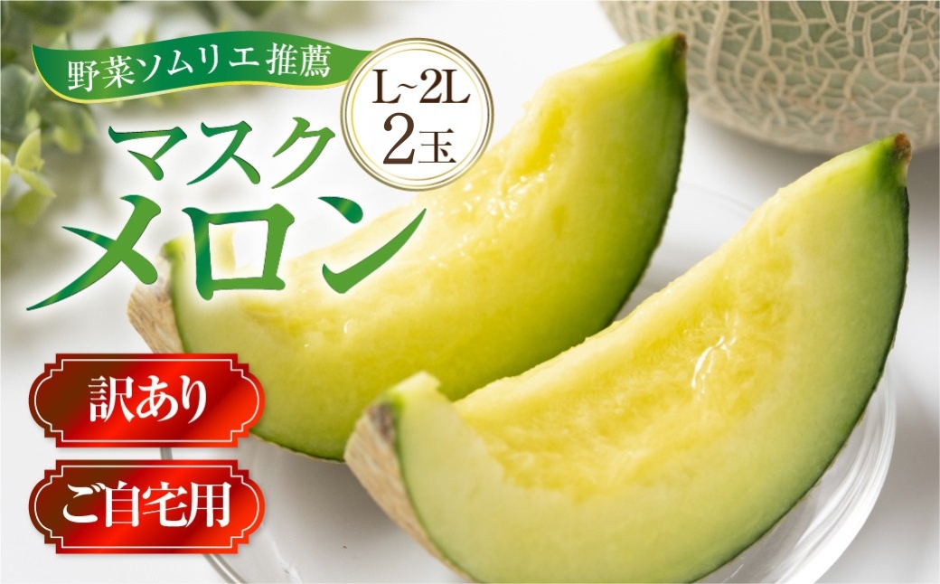 先行予約 訳あり マスクメロン L〜2L 2玉 メロン 野菜ソムリエ推薦 数量限定 渥美半島 伊良湖潮風育ち  田原市 ご自宅用 お取り寄せ 産地直送 送料無料