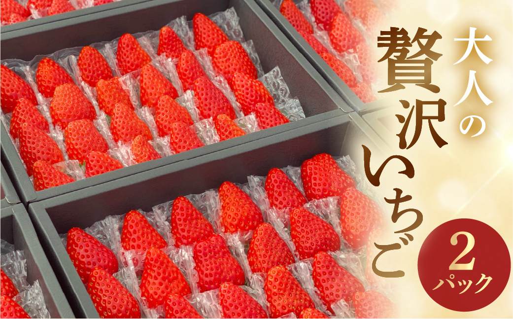 安田農園 大人の贅沢いちご 2パック イチゴ