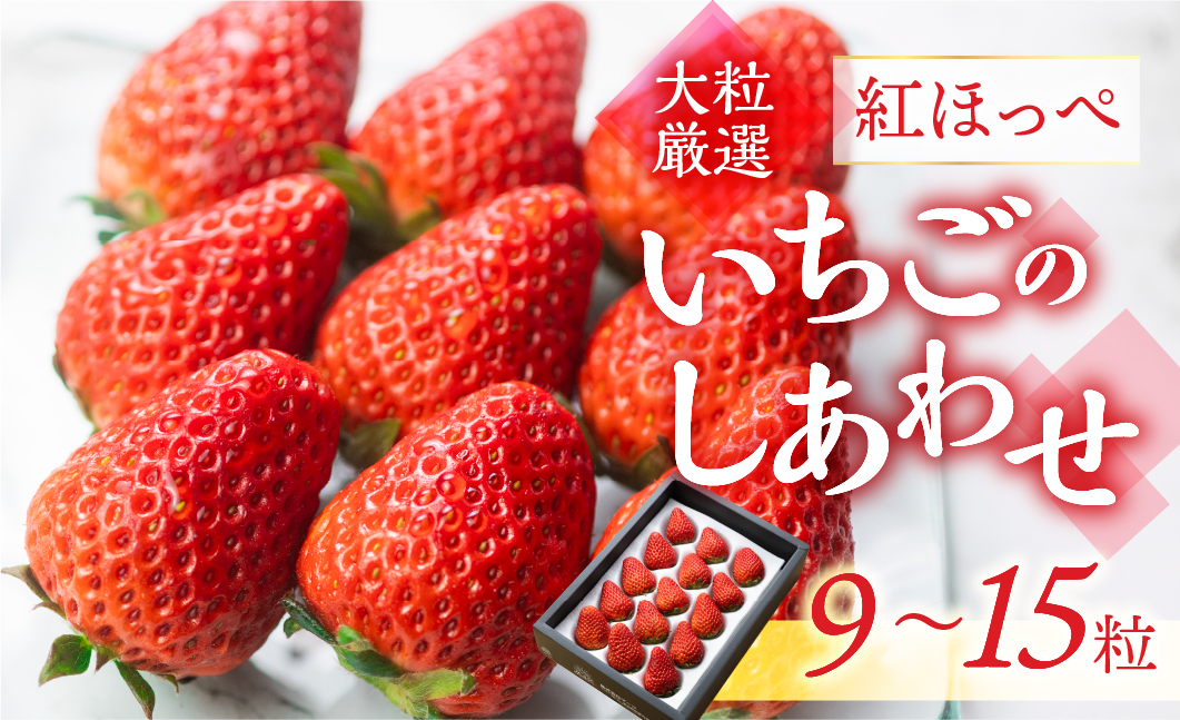 ≪先行予約≫【愛知県・田原産】ブランドいちご「いちごのしあわせ」約9粒〜15粒 ／ 苺 イチゴ フルーツ 果物 農薬節減 愛知県 特産品 産地直送 田原市 渥美半島