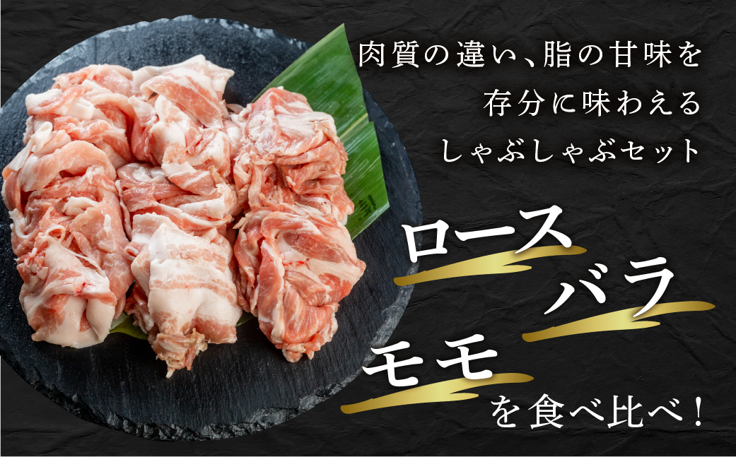 訳あり 国産 豚肉 食べ比べ 1000g しゃぶしゃぶ用 スライス ロース バラ 1kg 冷凍 瓜生豚 小分け 簡易包装 訳あり ぶた スライス 薄切り 豚しゃぶ 贈り物 ギフト お取り寄せ お取り寄せグルメ 食品 送料無料 産地直送 冷凍 瓜生 17000円