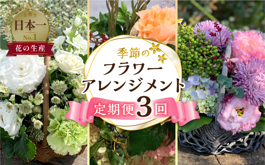 定期便 3回 季節のお花を使った フラワーアレンジメント 花 かご付き 生花 お任せ ギフト プレゼント 飾り 愛知県 田原市 渥美半島 51000円