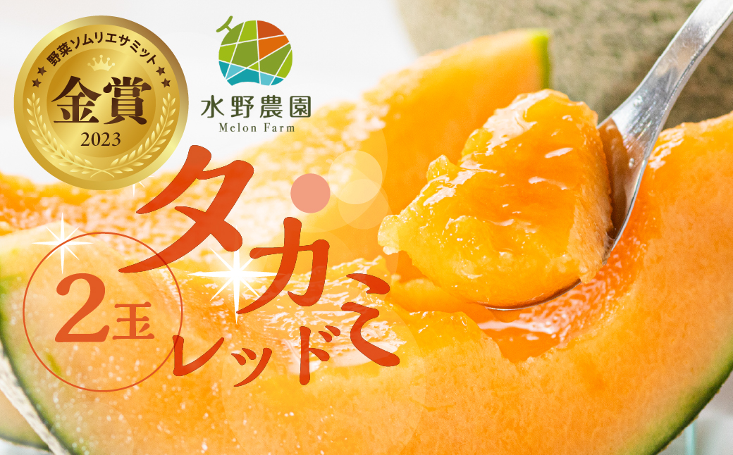 水野農園産タカミレッド　２玉