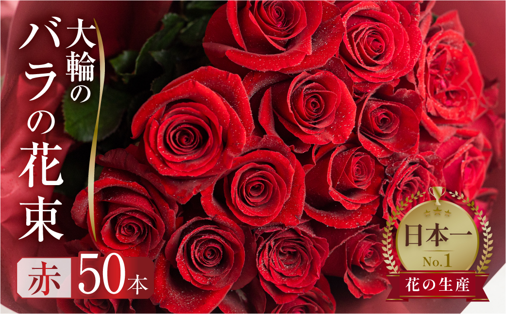 ãã© è±æ 倧茪 èµ€ 50æ¬ (40cm) ããŒã± èè ããŒãº çè± èŠ³è³çš ãã¬ãŒã³ã è± ã®ãã èªçæ¥ æ€ç© ãã©ã¯ãŒ å壿 œå¹ ç£å°çŽé ç°ååž äººæ° åãè± åè± 28000å