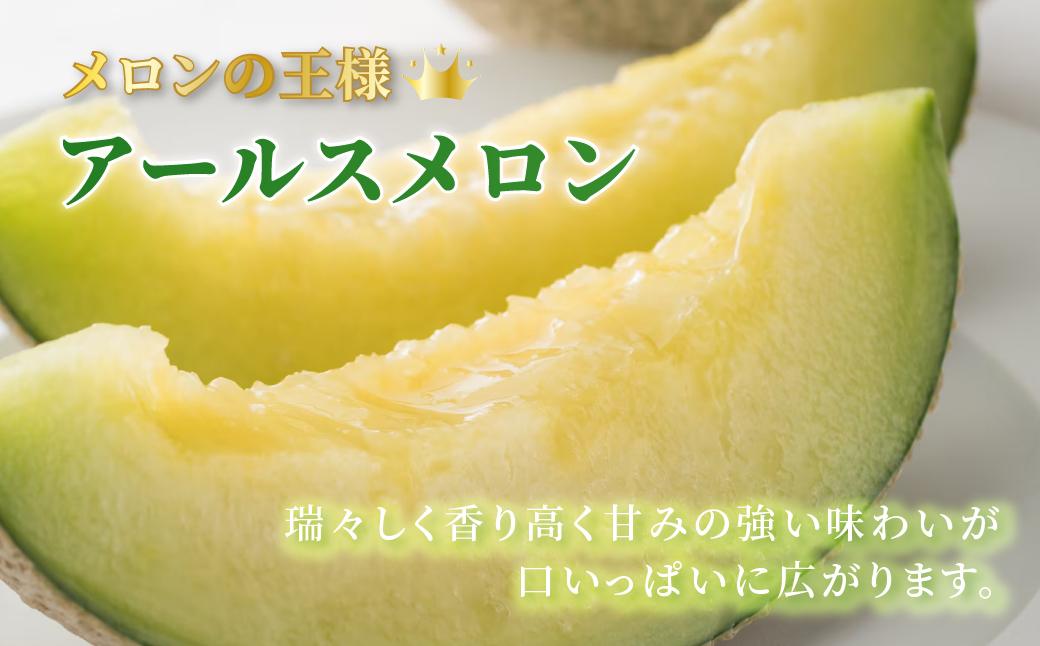  特別限定栽培 八右衛門アールスメロン 大玉1.8kg 2玉 （マスクメロン） 先行予約 メロン めろん 箱詰め フルーツ 果物 愛知県 田原市 6月 7月