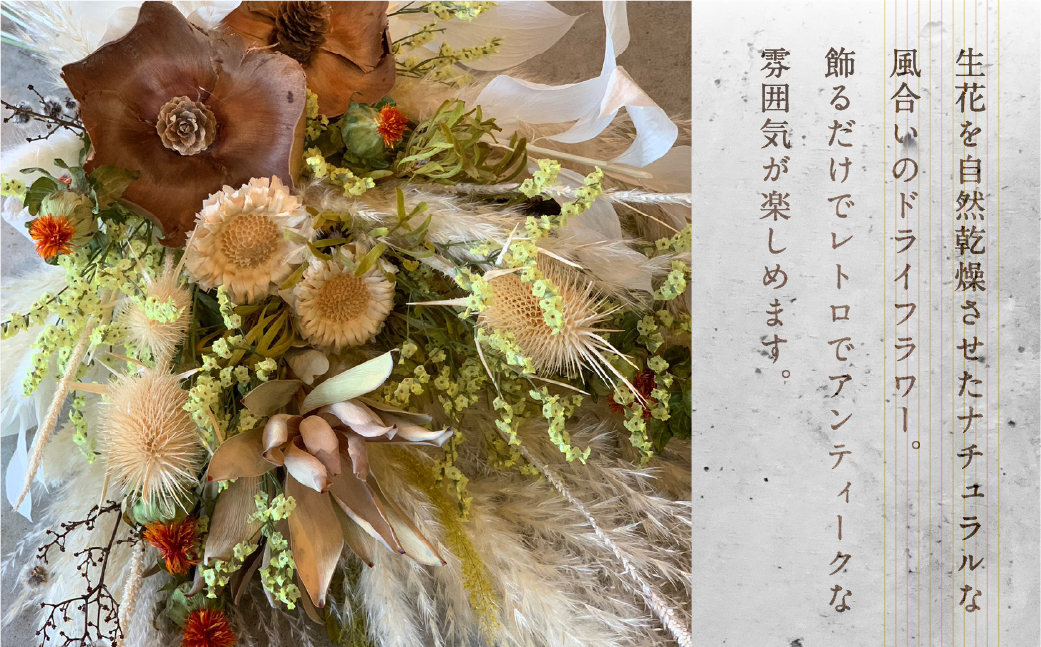 ãã©ã€ãã©ã¯ãŒããŒã± ã¹ã¯ãã° ããŒã± (暪35cmÃæšª65cm çšåºŠ) è± è±æ éžã¹ãã¿ã€ã ãä»»ã ã®ãã ãã¬ãŒã³ã é£Ÿã æç¥ç ç°ååž æž¥çŸåå³¶ 35000å