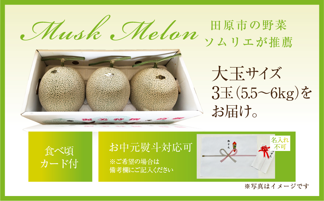 先行予約 数量限定 野菜ソムリエ推薦渥美半島伊良湖潮風育ちマスクメロン3玉(4〜5キロ)カラーギフト箱入り　 田原市 伊良湖産 ギフト プレゼント お取り寄せ 渥美半島 農家直送 送料無料 17000円