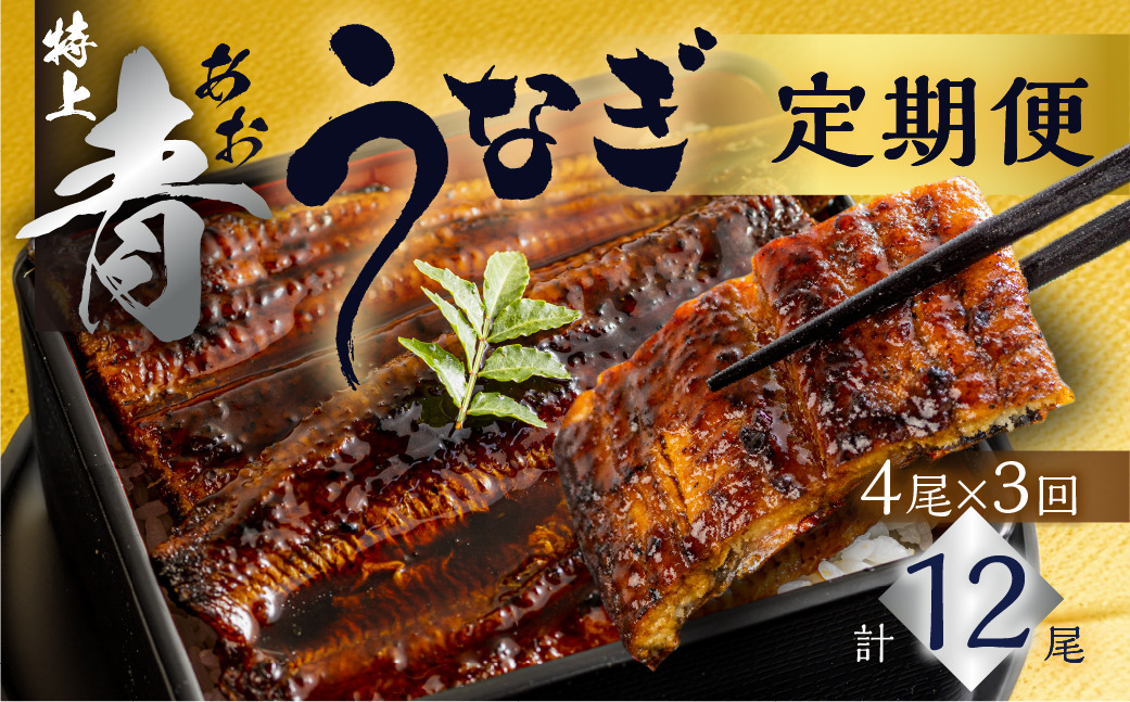 厳選 高級 青うなぎ 蒲焼 4尾 全3回 定期便 合計12尾  ( うなぎ うなぎ定期便 3回 ３ 定期  3ヶ月 3ヵ月 3か月 69000円 )