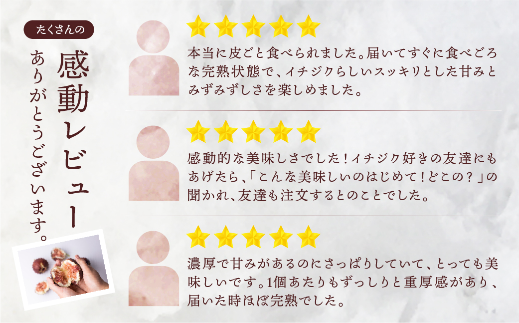 先行予約【4月〜5月お届け 春いちじく】  春の希少な いちじく 極 9-12玉 完熟 大玉  4月〜5月お届け フルーツ 【専用箱】入手困難 プレミアム 果物 春 秋 いちじく イチジク 無花果 フルーツ 果物 旬 希少 極 