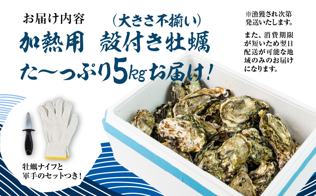 【先行予約】訳あり 殻付き 生牡蠣 5kg 加熱用 軍手・牡蠣ナイフ付 牡蠣 カキ かき 生 殻付牡蠣 フライ 鍋 バーベキュー BBQ 海鮮 魚介 魚貝 貝 魚介類 新鮮 渥美半島 田原市 愛知県 国産 海産物 オイスター 海の ミルク 軍手 牡蠣 ナイフ 付 冬 〜 春