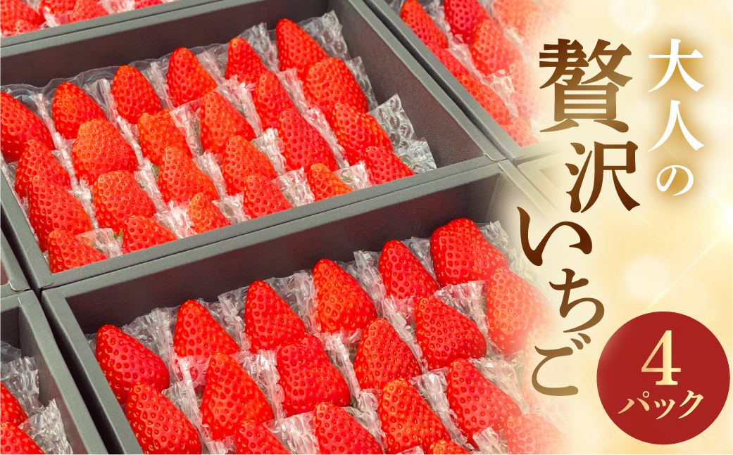 安田農園 大人の贅沢いちご 4パック イチゴ