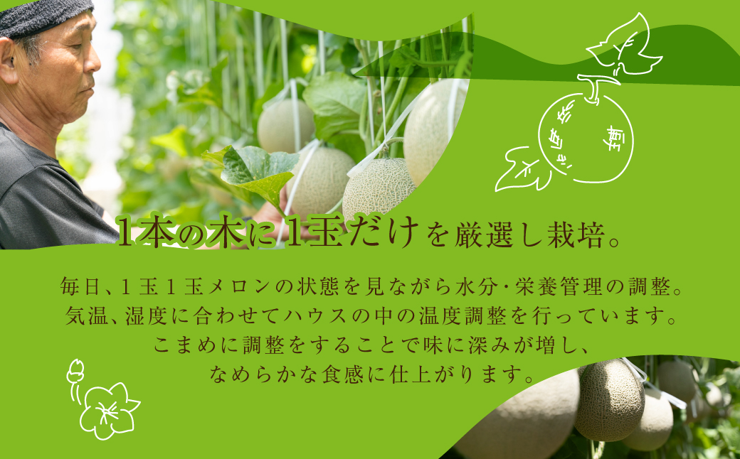 先行予約 数量限定 野菜ソムリエ 推薦 渥美半島伊良湖潮風育ち マスクメロン 2玉 2L〜3L サイズ(3〜4キロ) 箱入り　 田原市 伊良湖産 ギフト プレゼント お取り寄せ 渥美半島 農家直送 送料無料 12000円 一万円