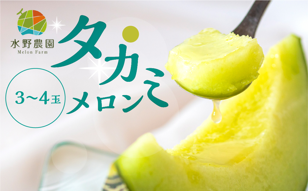 先行予約 タカミメロン 5kg 3〜5玉 水野農園