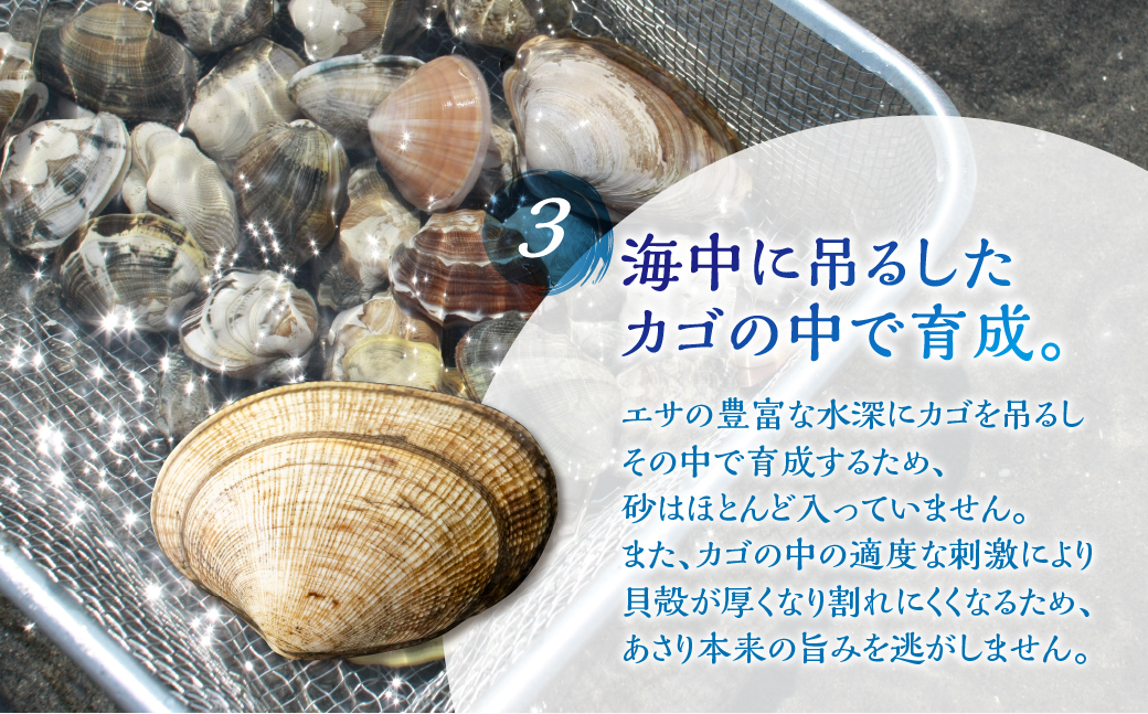 貂・鄒守肇 蝙ゆク九≠縺輔j 譏・鮟驥 1kg 縺ゅ&繧
